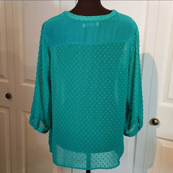 Romy Sheer Green Long Sleeve Blouse - Picture 5 of 7